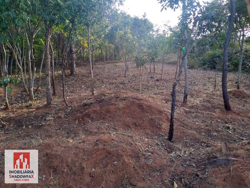 Terreno, 360 m² - Foto 2