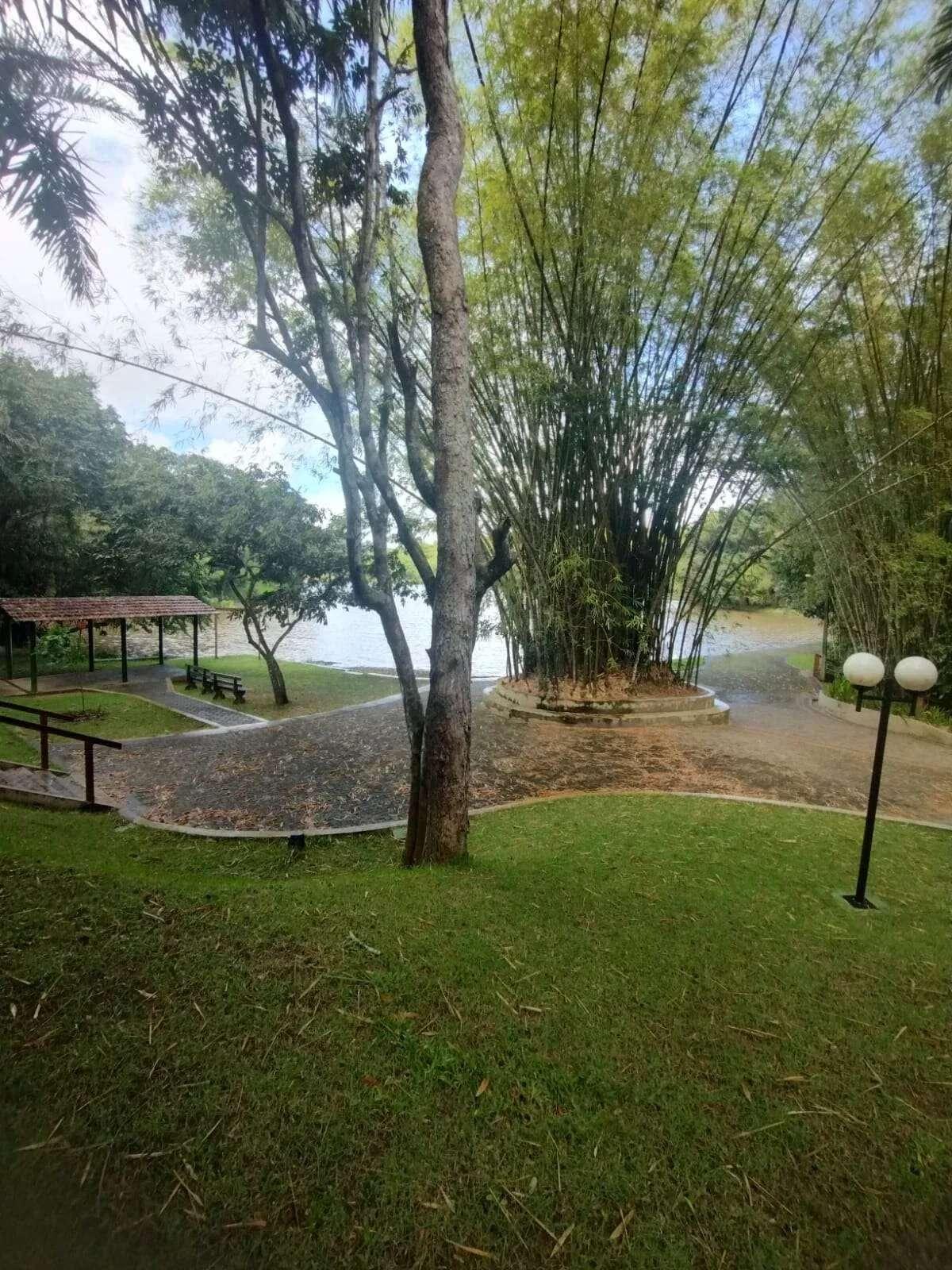Casa, 5 quartos, 256 m² - Foto 33
